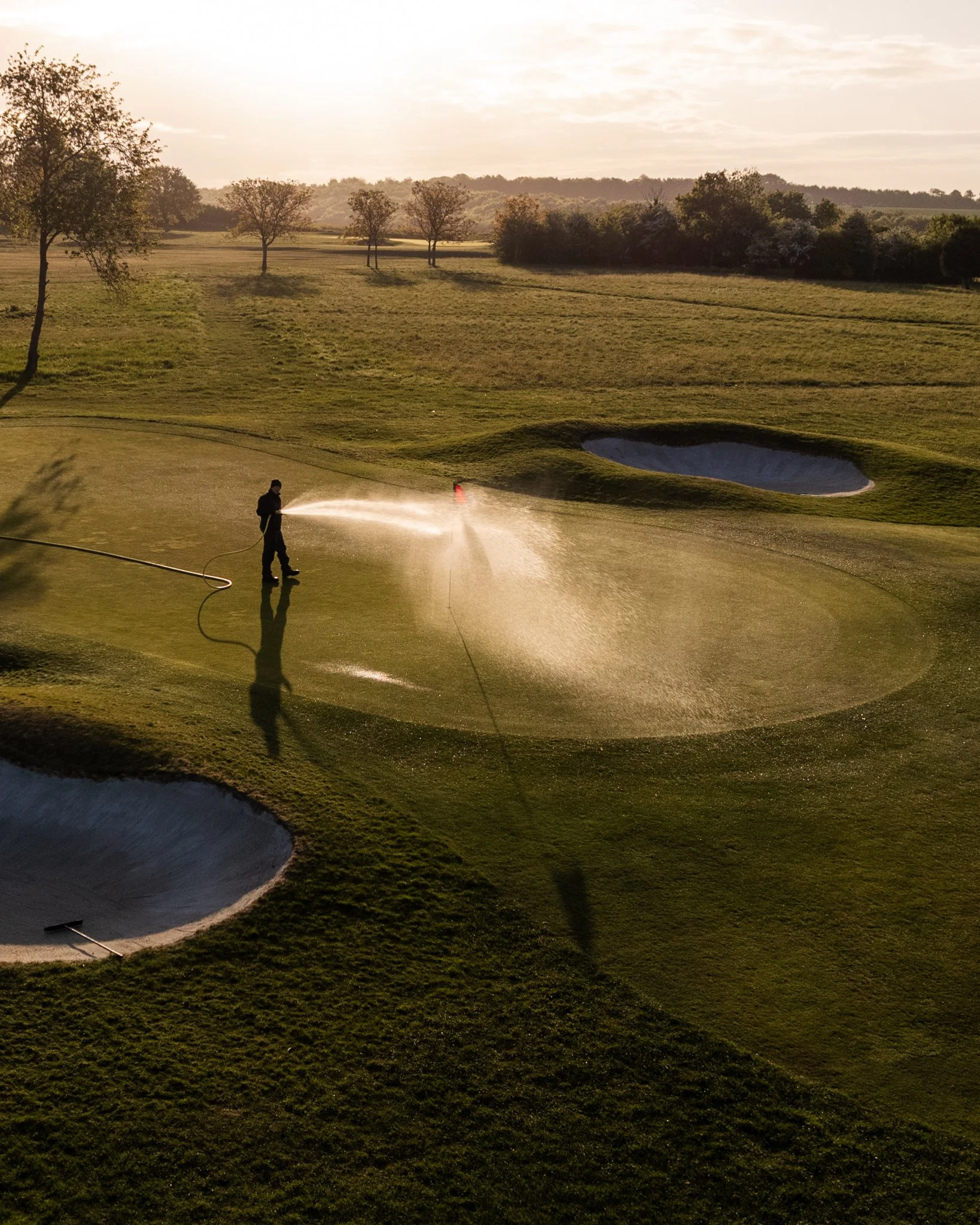 A person is watering a golf course green with a hose, with two sand bunkers nearby and trees and open fields in the background during sunset.
