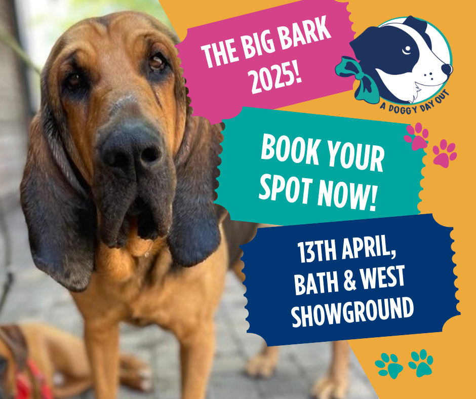 DDO - Big Bark 2025 Traders.png