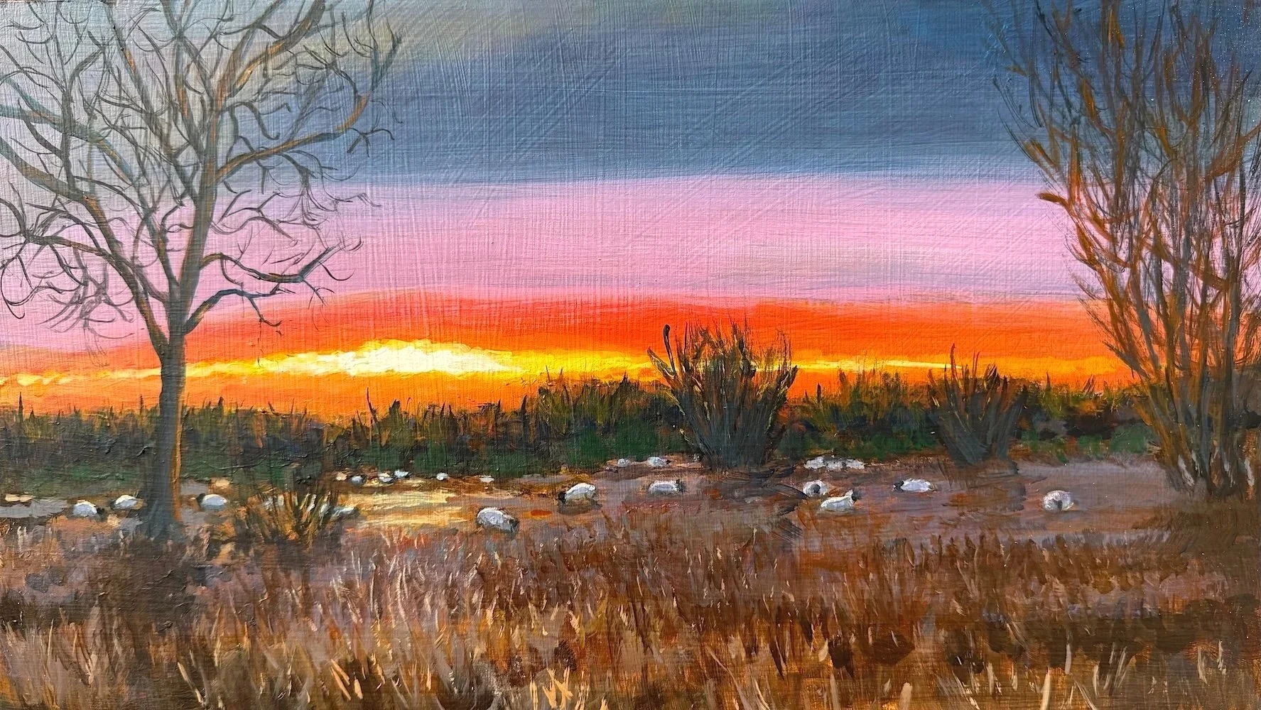Winter sunset and sheep - Acrylic, 9 x 16 inches (20 x 40.5 cm)