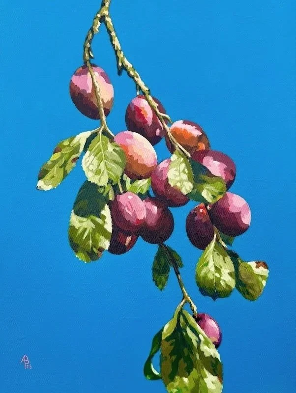 A plum job! - Acrylic on canvas board, 16 x 12 inches (40 x 30 cm).