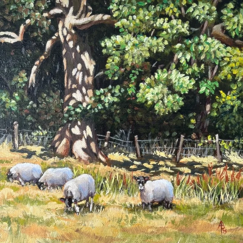 Safely grazing sheep - Acrylic, 8 x 8 inches (20 x 20 cm)