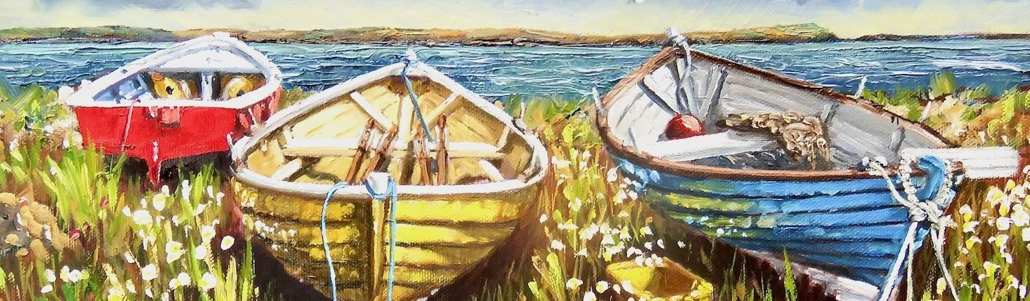 Three Shetland boats rest on the shore in a bank of daisies.  Sea and distant landscape beyond.
