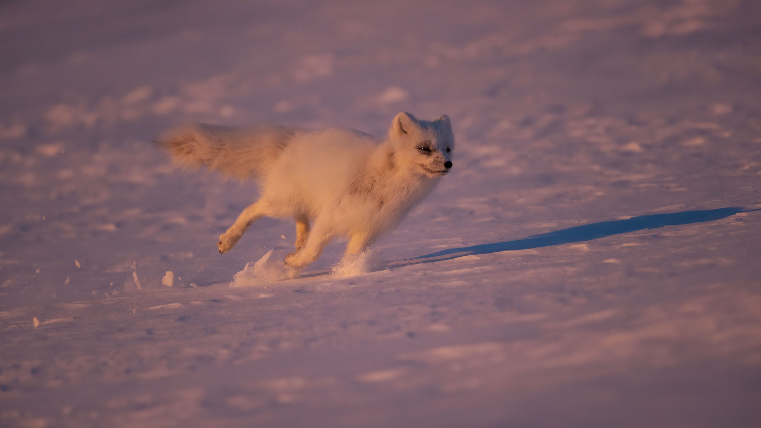 DSC_4705.jpg