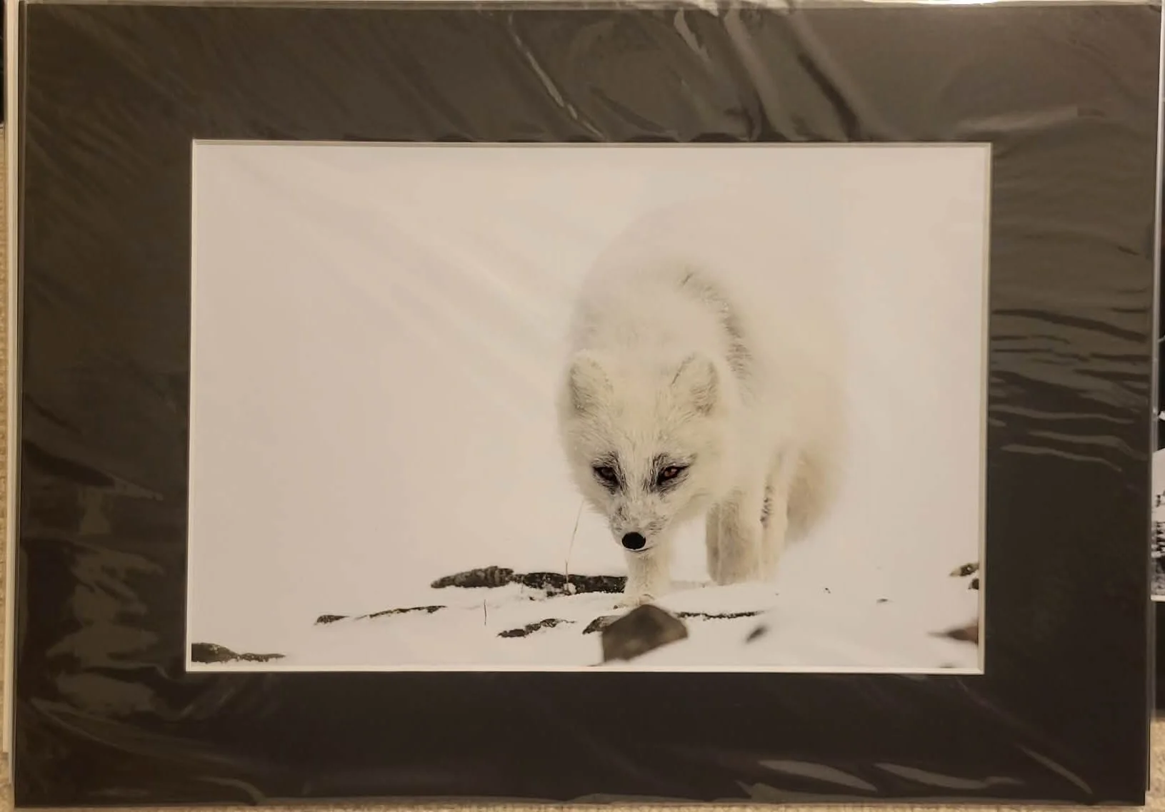 The White One - A4/A3 passepartout