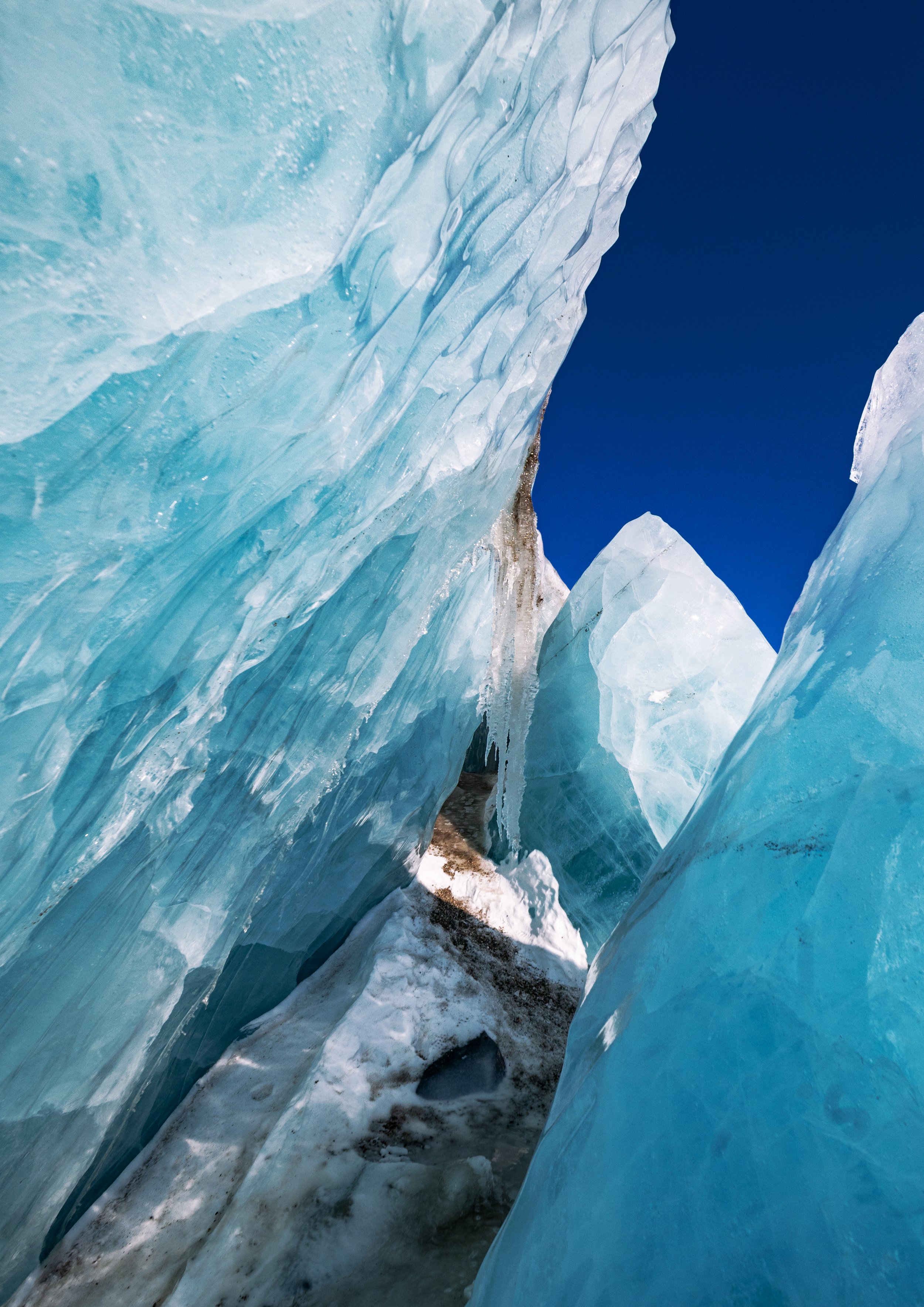 A3 / A2-passepartout - Pingo SOLD OUT