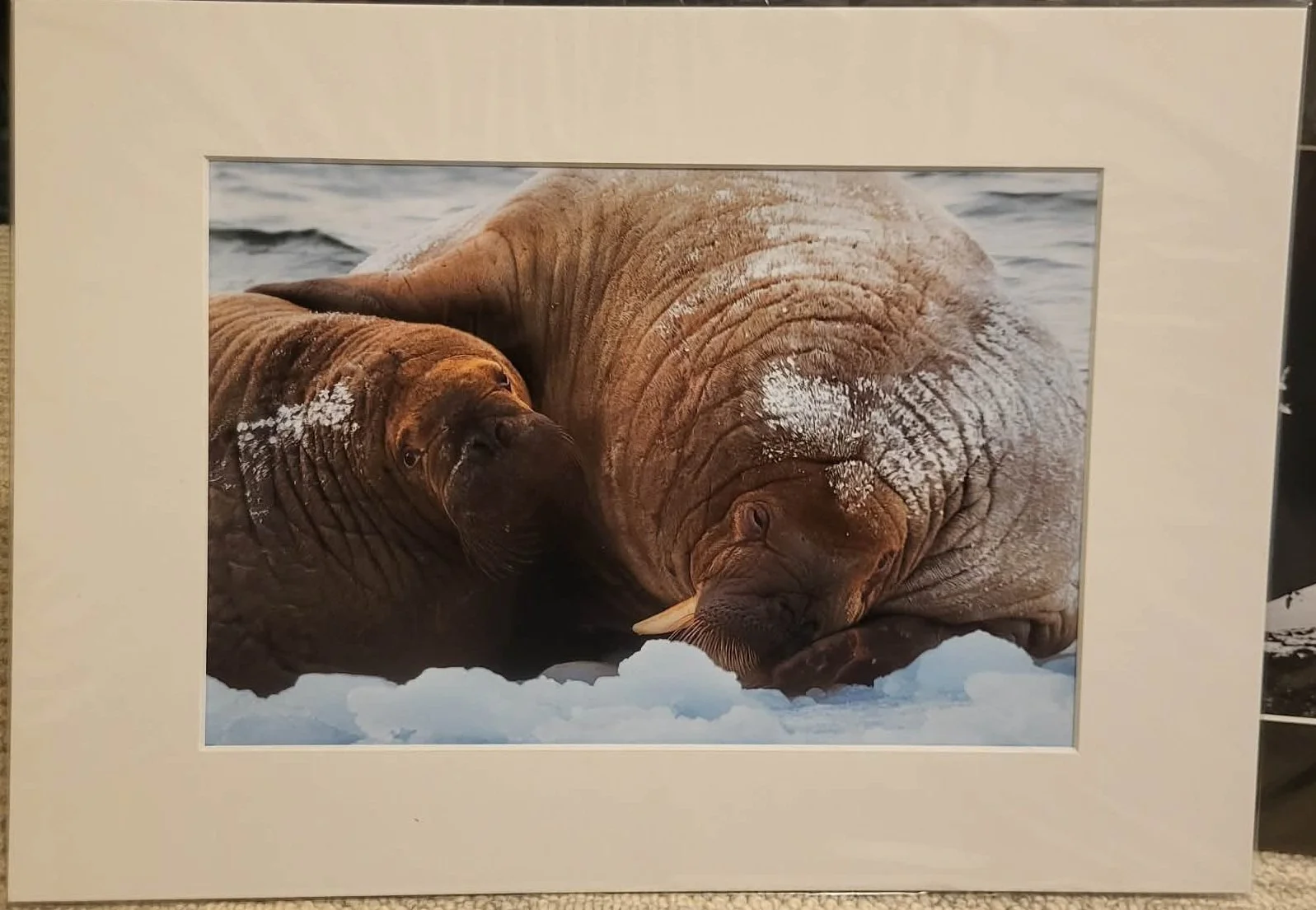 The Tired Mum - A4/A3 passepartout