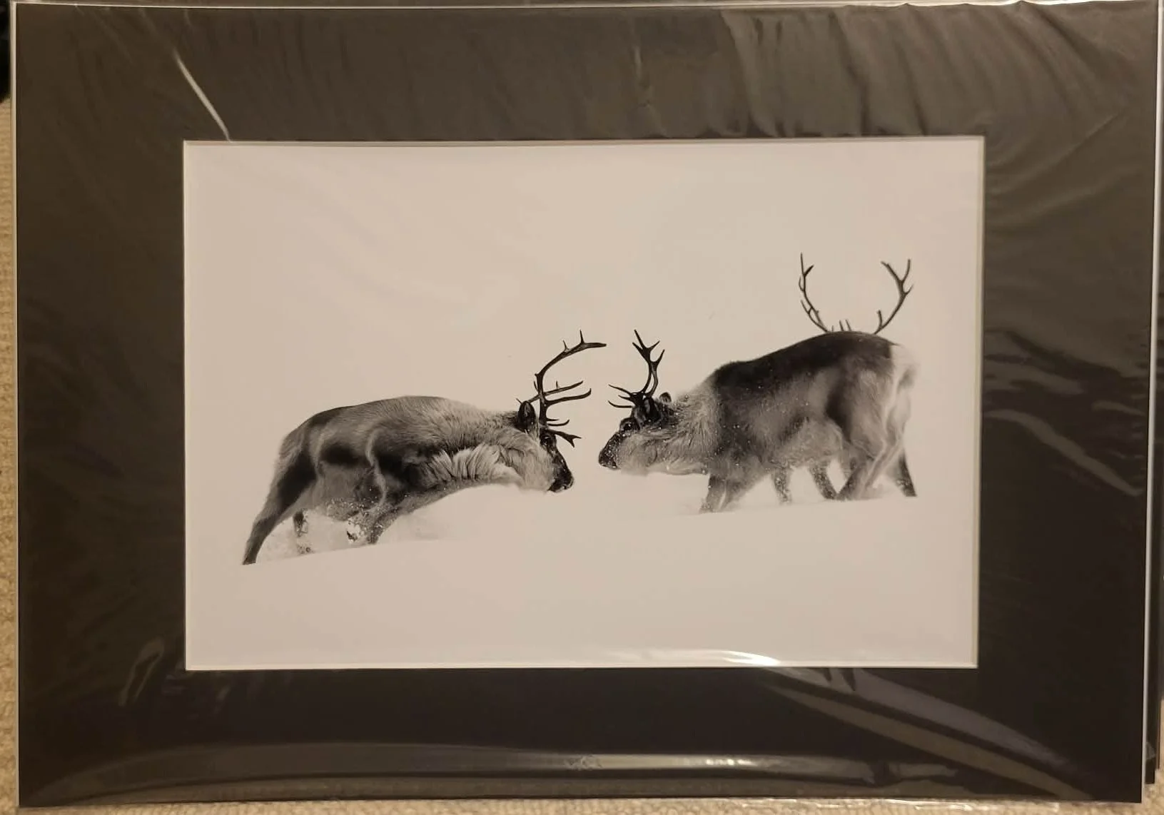 A4 / A3-passepartout - Ladies' Winter Ball - 1 left