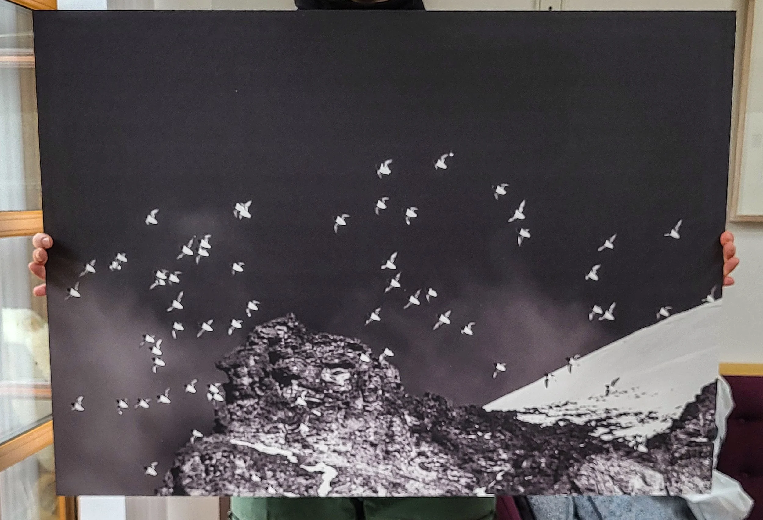 600mm x 850mm ALU print - SOLD