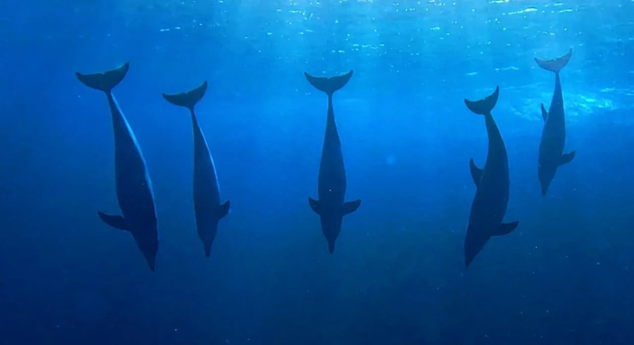 WhatsApp Image 2025-10-15 at 15.57.40_2294d3a8.jpg