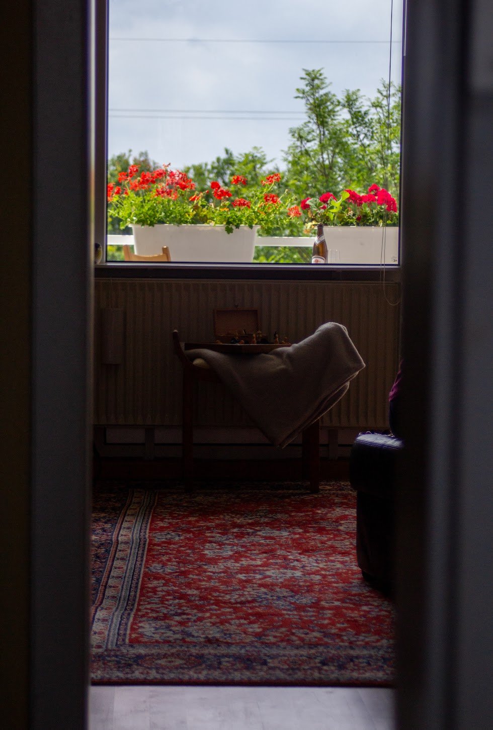 Blick durch eine Tür auf ein Wohnzimmer mit einem Fenster, auf dem rote und pinke Blumen in Blumentöpfen auf der Fensterbank stehen. Im Raum befindet sich ein Teppich mit roten Mustern.