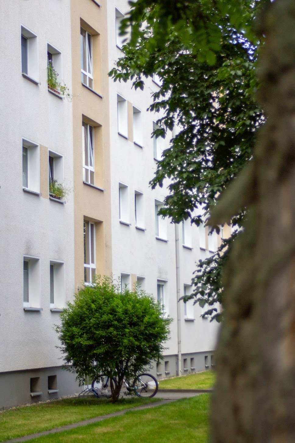 Mehrstöckiges Wohngebäude mit weißen und beige Wänden, mehrere Fenster, ein Busch am Boden, ein Fahrrad, Bäume im Vordergrund.