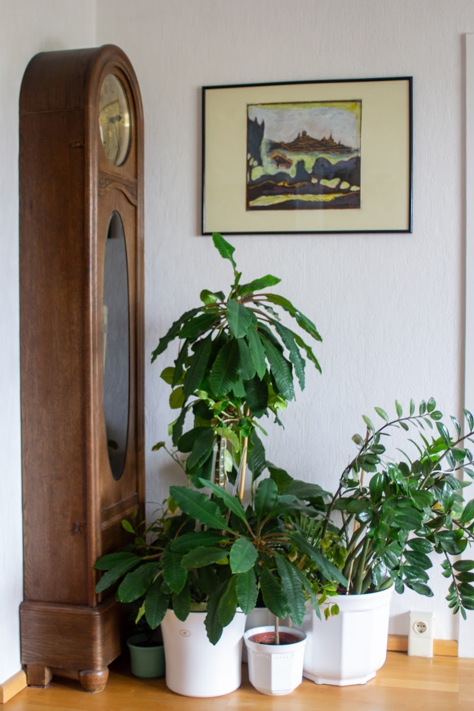 Ein Wohnzimmer mit altmodischem Kuckucksuhr, mehreren Topfpflanzen, einem Hängeregister und einem Gemälde an der Wand.