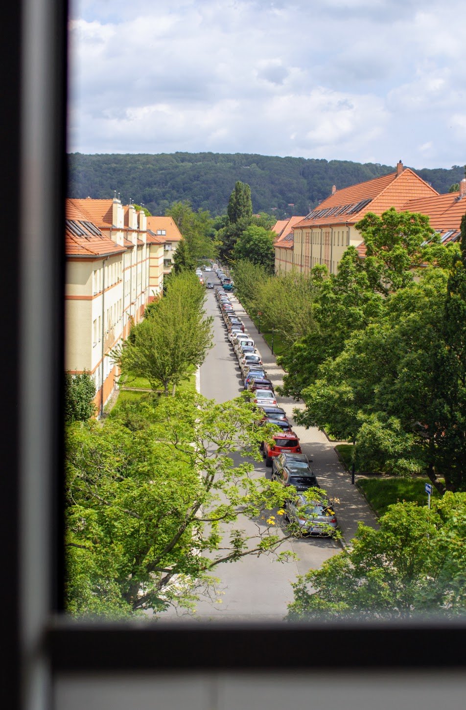 Blick aus einem Fenster auf eine ruhige Straße mit geparkten Autos, umgeben von Bäumen und Häusern mit roten Ziegeldächern, im Hintergrund ein bewölkter Himmel und Grünhügel.
