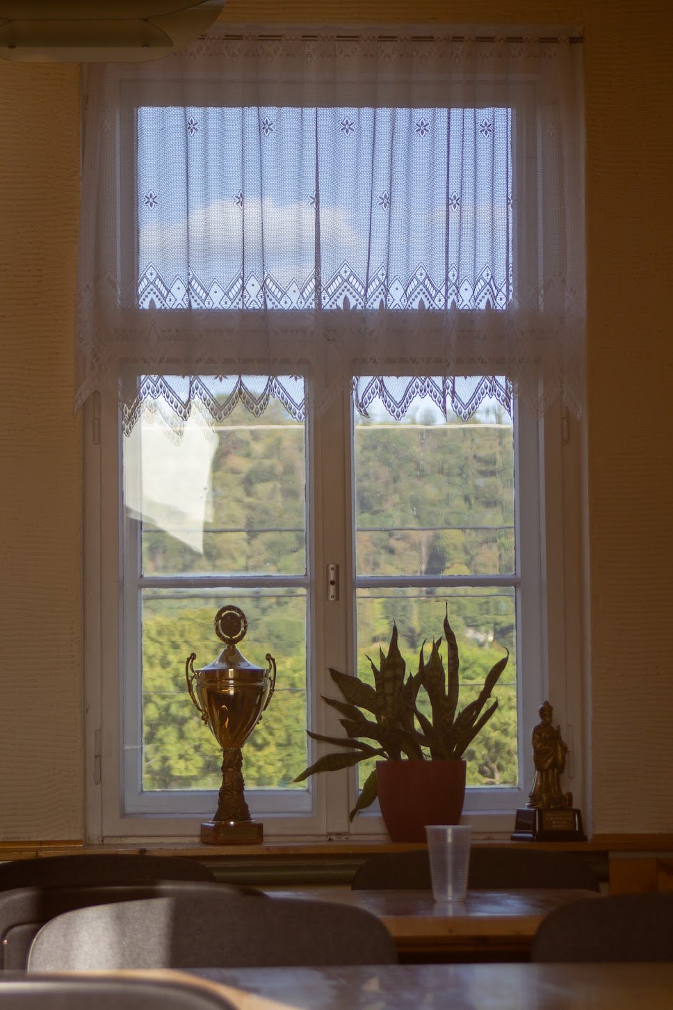 Blick auf ein Fenster mit weißen Spitzenvorhängen, im Fenster stehen ein Pokal, eine Pflanze und eine kleine Statue auf dem Fensterbrett, im Vordergrund ein Tisch mit einem leeren Kunststoffbecher.