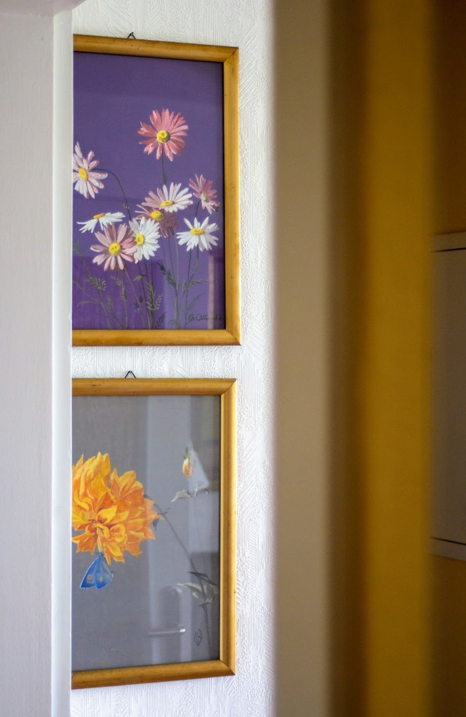 Zwei gerahmte, botanische Fotografien von Blumen, eine mit weißen und rosa Gänseblümchen auf lila Hintergrund, die andere mit einer gelben Blume und einem blauen Schmetterling auf grauem Hintergrund.