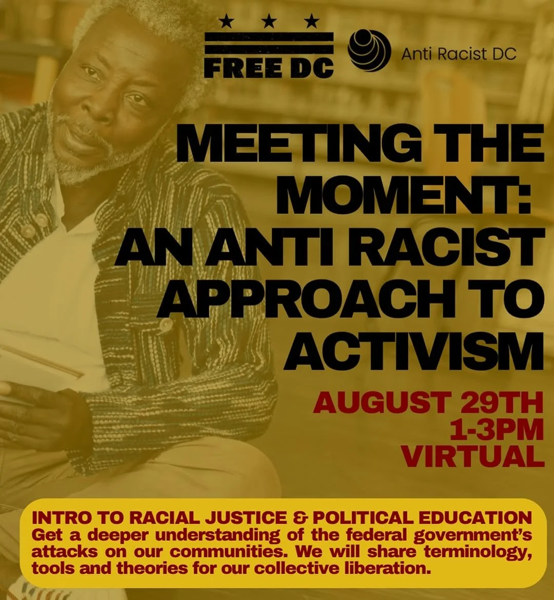 Meeting the Moment: An Anti-Racist Approach to Activism (Virtual)