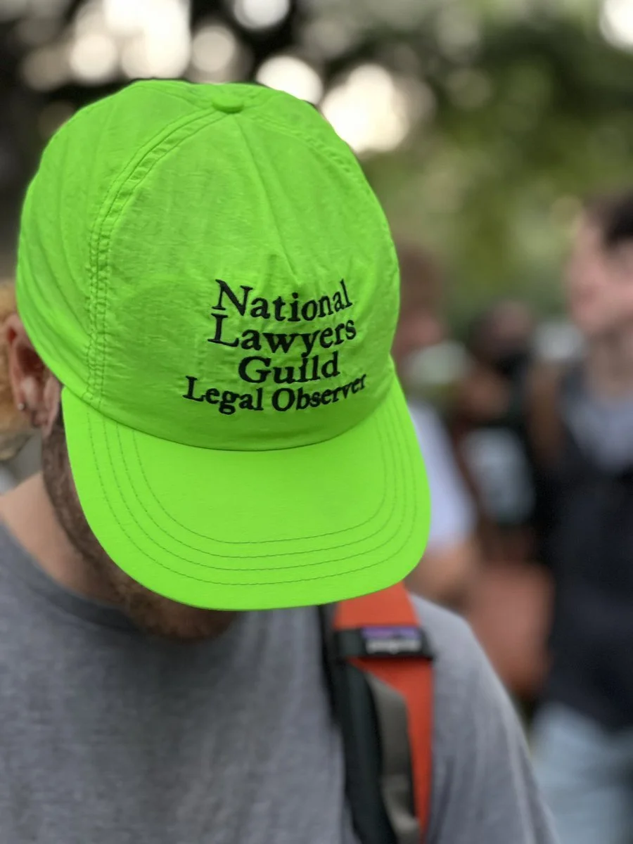 DCNLG Legal Observer Training