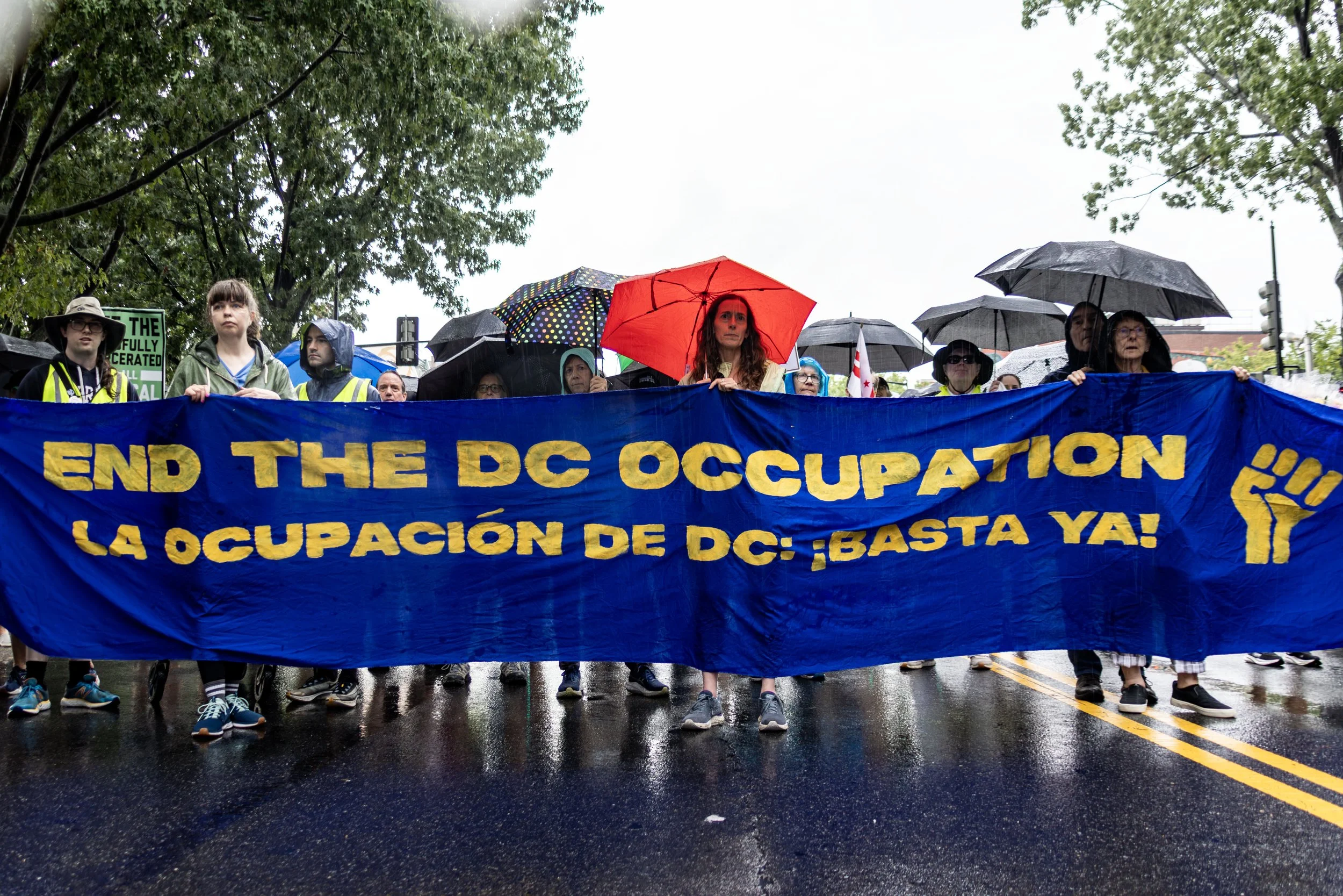 Photos taken by Diane Krauthamer