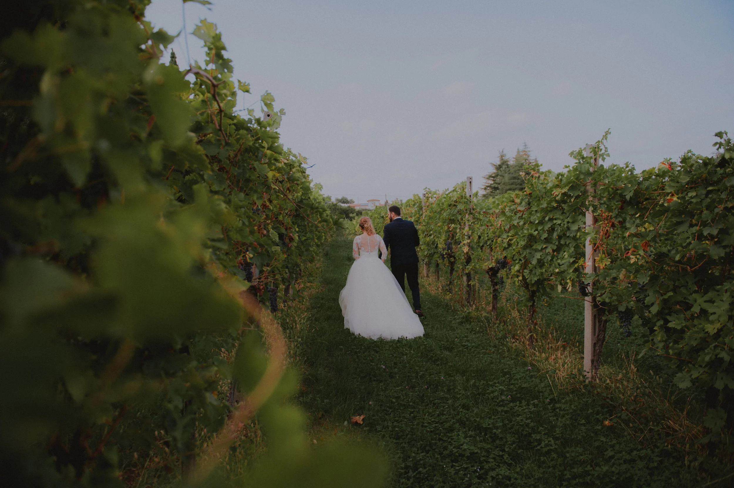 hochzeit-verona-brautpaar-spaziergang-weinberg.jpg