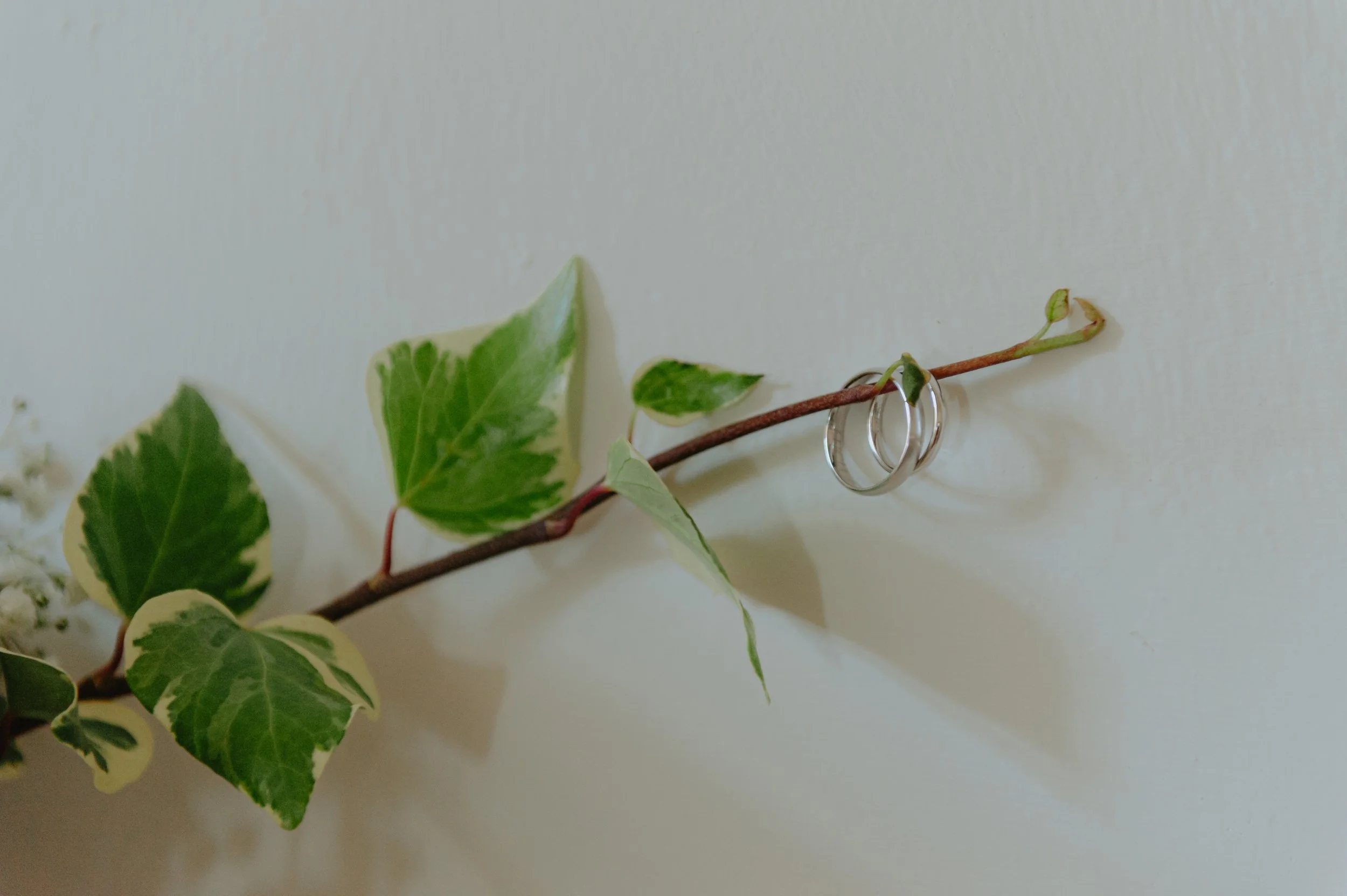 hochzeitsringe-efeu-verona-detail.jpg
