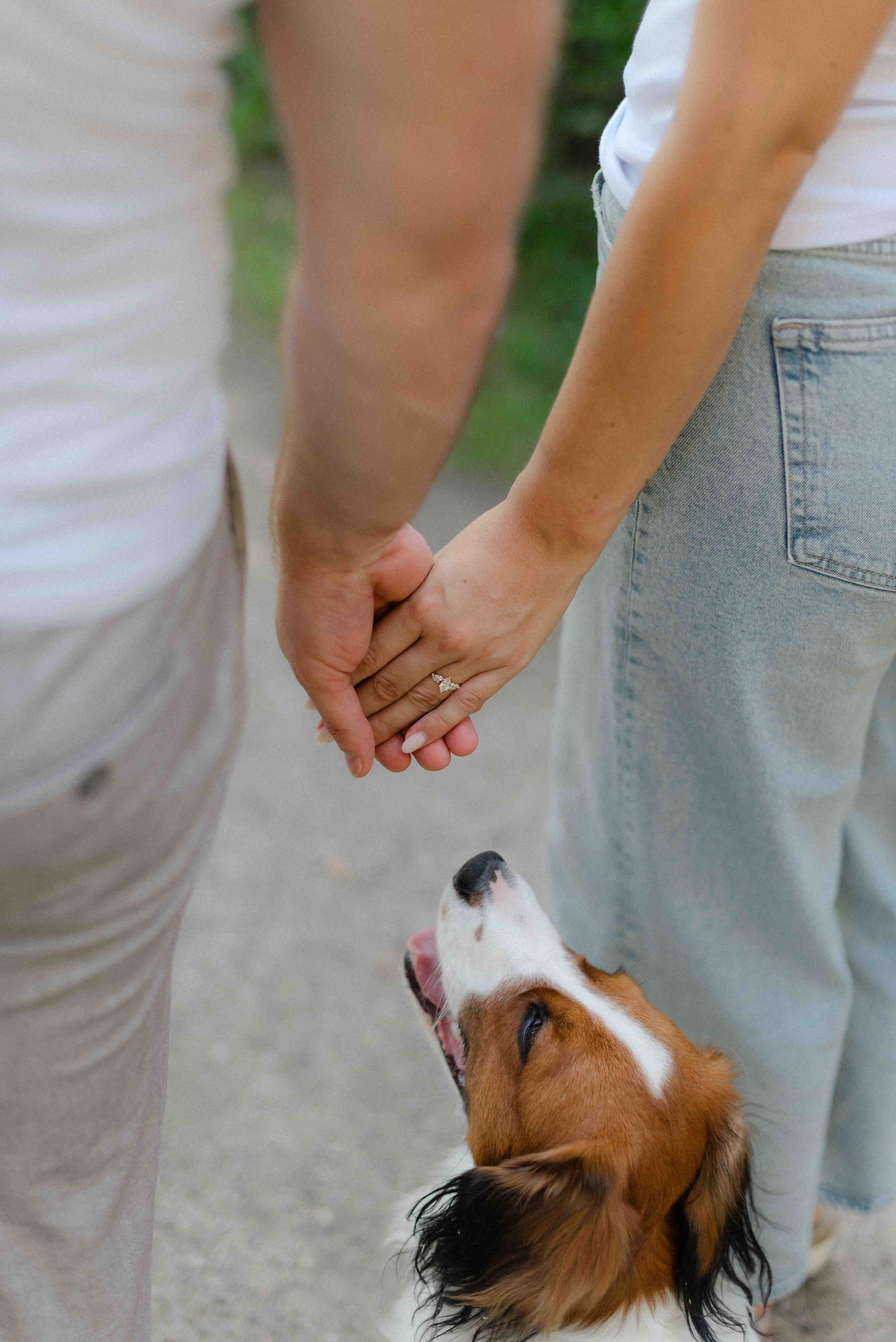 Verlobungsshooting-Muenchen-Pasing-Bayern-mit-hund-18.jpg