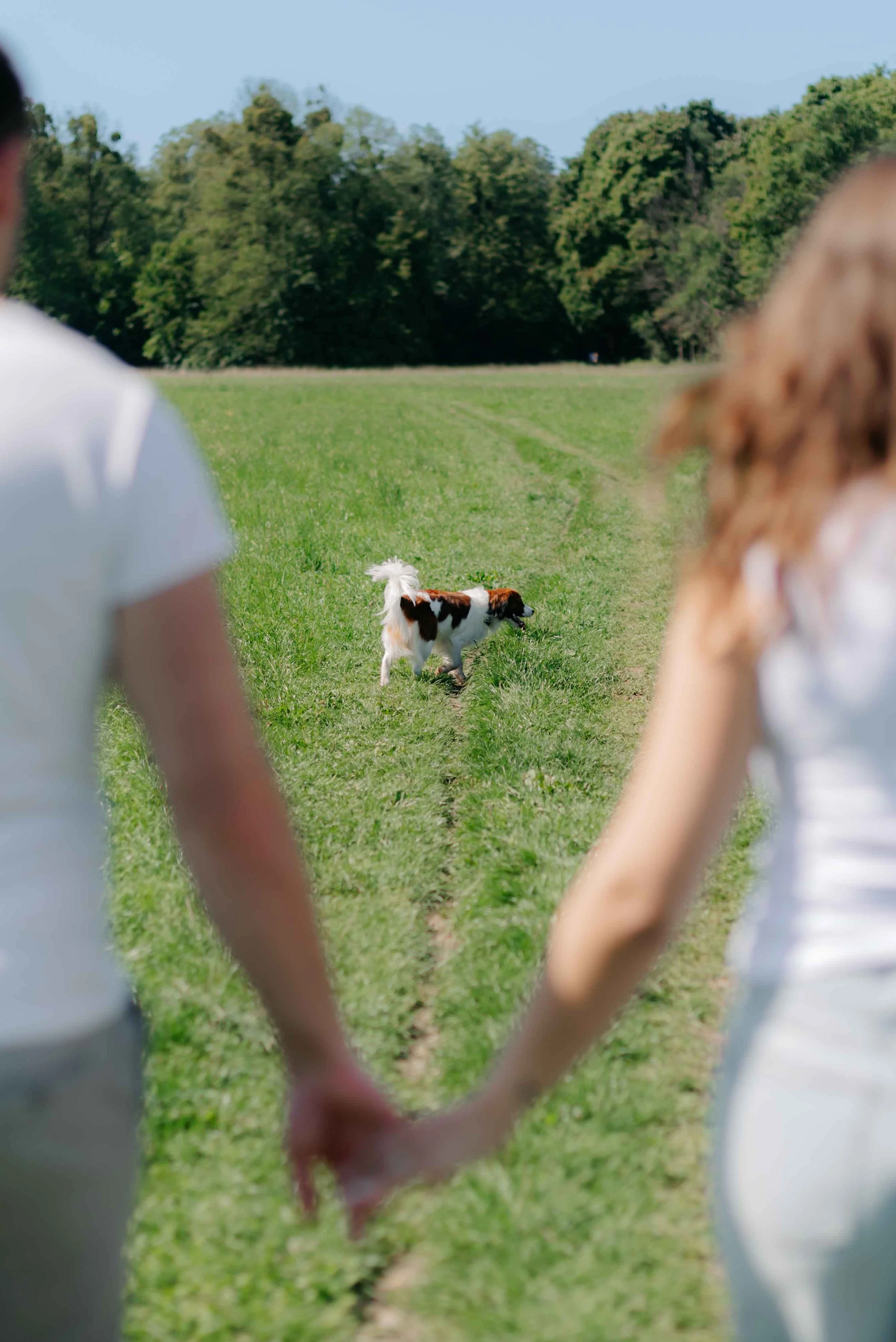 Verlobungsshooting-Muenchen-Pasing-Bayern-mit-hund-19.jpg