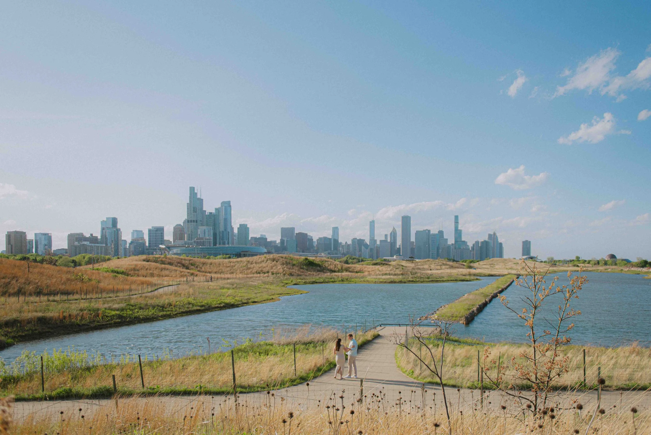 paarshooting-chicago-skyline-natur-see.jpg
