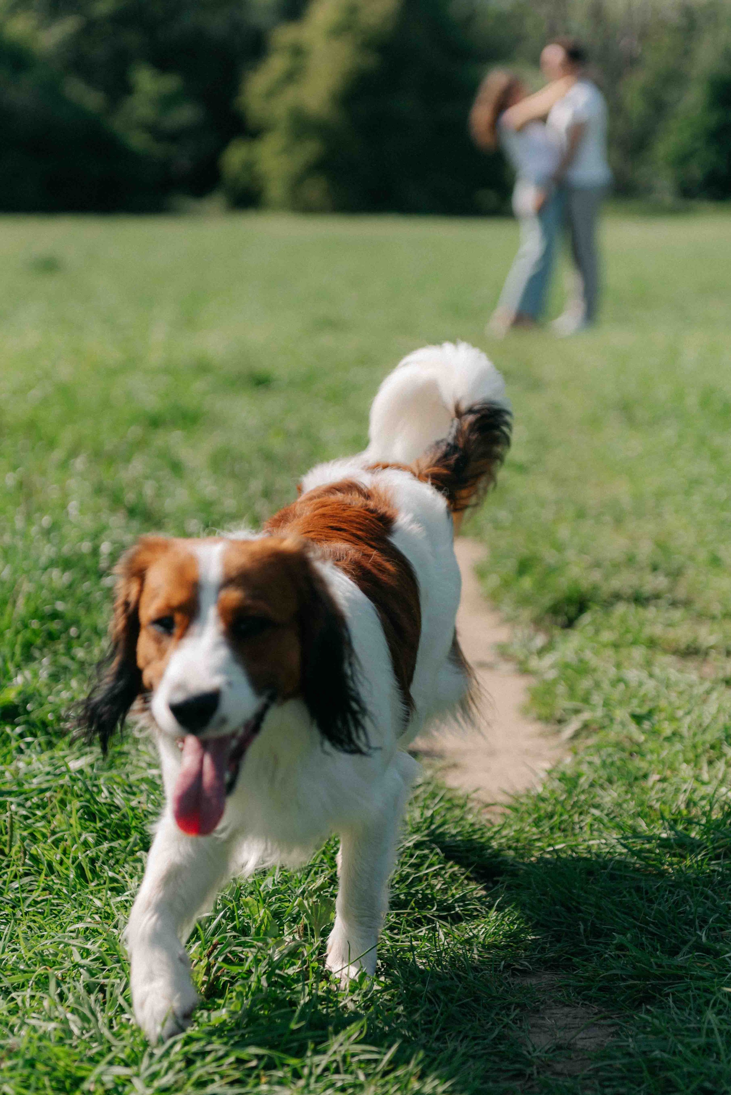 Verlobungsshooting-Muenchen-Pasing-Bayern-mit-hund-4.jpg