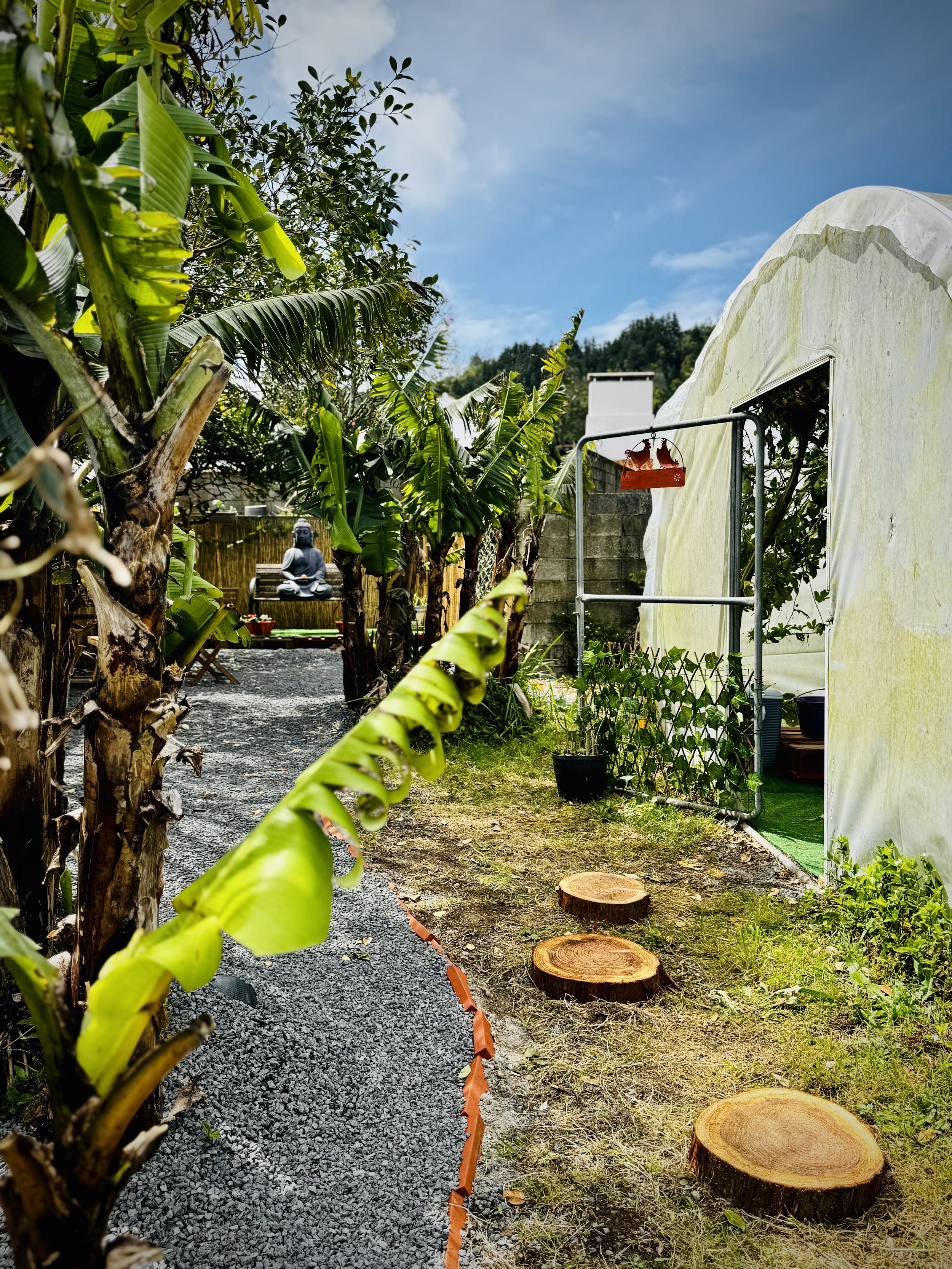 Carioca Breezy, Garden Lounge Café, Sete Cidades, Azores, São Miguel, Portugal