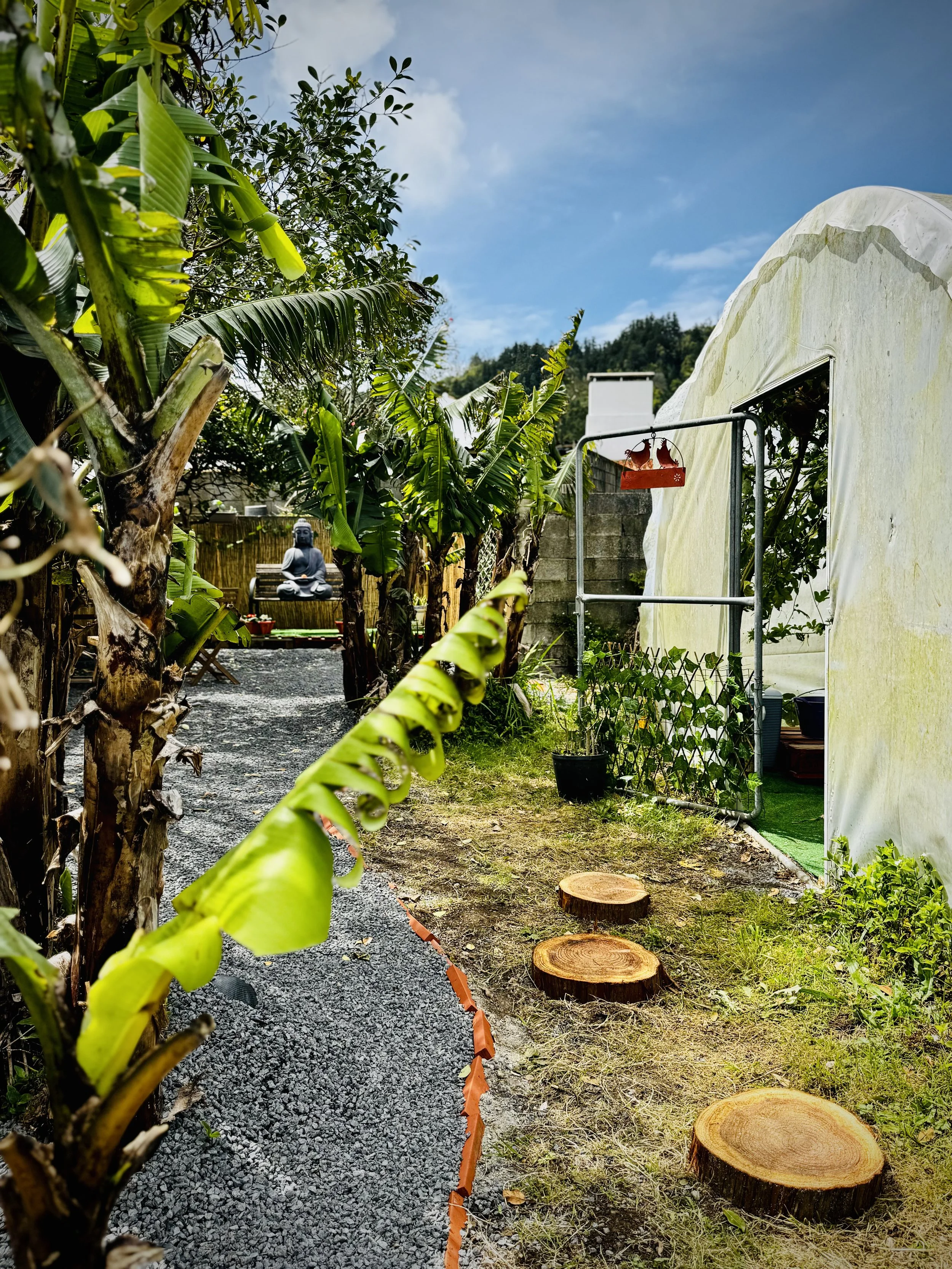 Carioca Breezy, Garden Lounge Café, Sete Cidades, Azores, São Miguel, Portugal