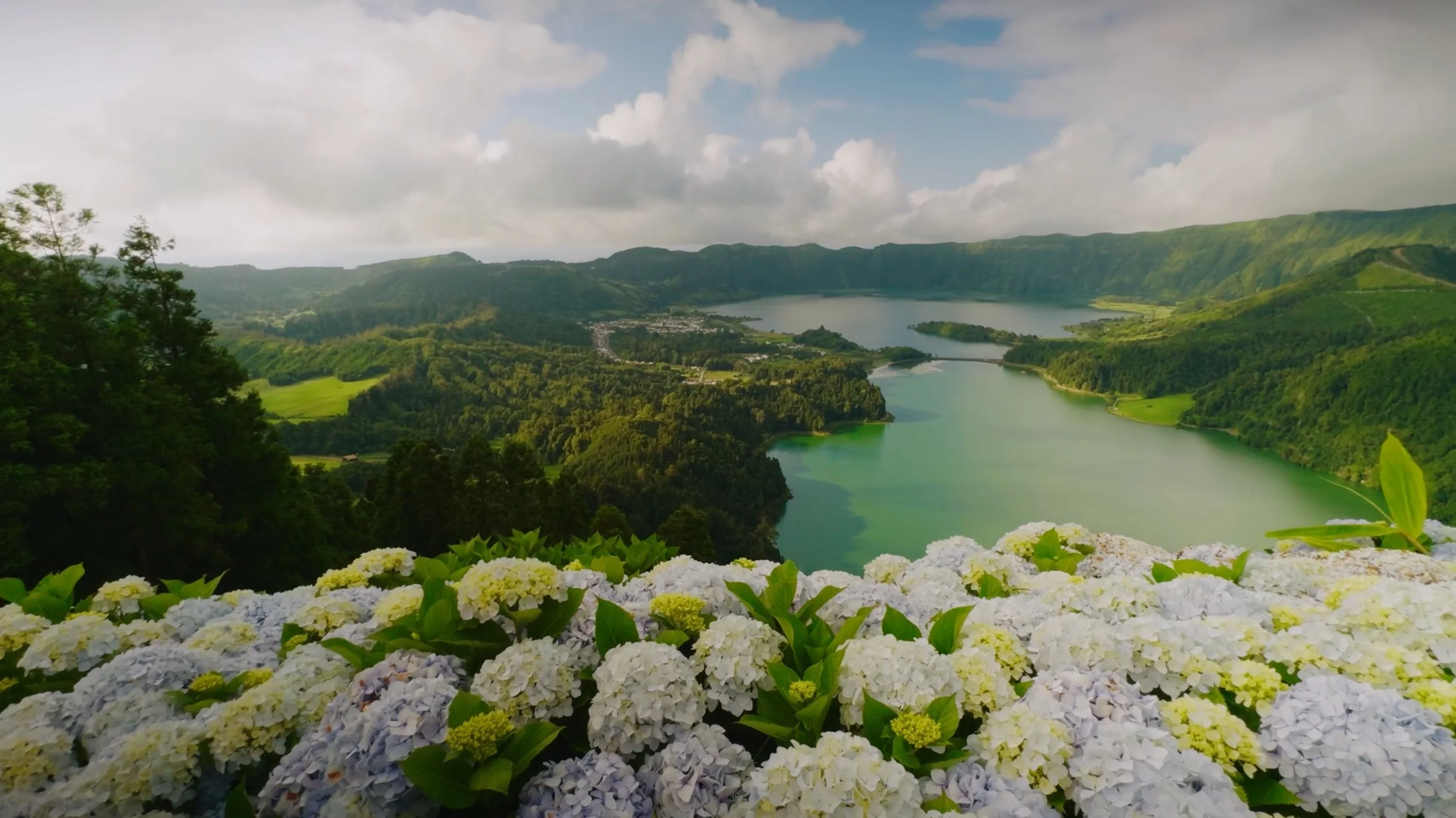 Scenic view of a large body of water surrounded by green mountains and cloudy sky, with white and light blue hydrangea flowers in the foreground.