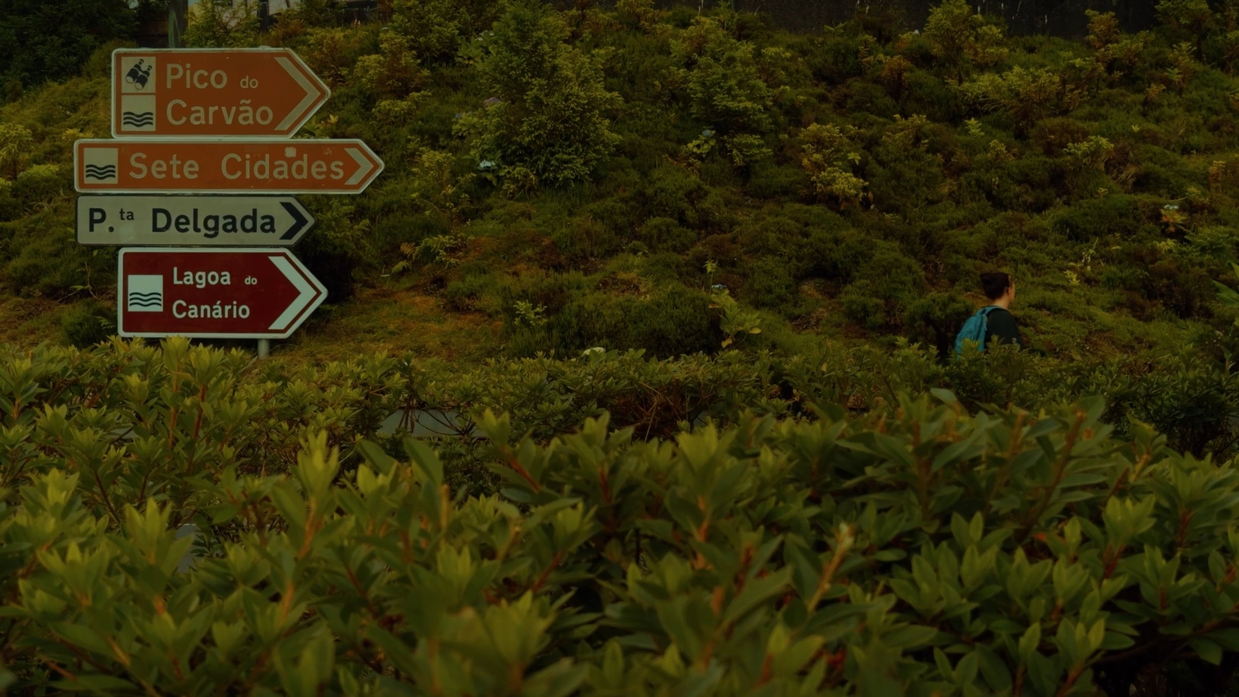 A person with a backpack standing among green bushes in front of a hillside covered with dense shrubbery, and a directional signpost with multiple signs in Portuguese pointing toward various locations, including Pico do Carvão, Seven Cities, Ponta De