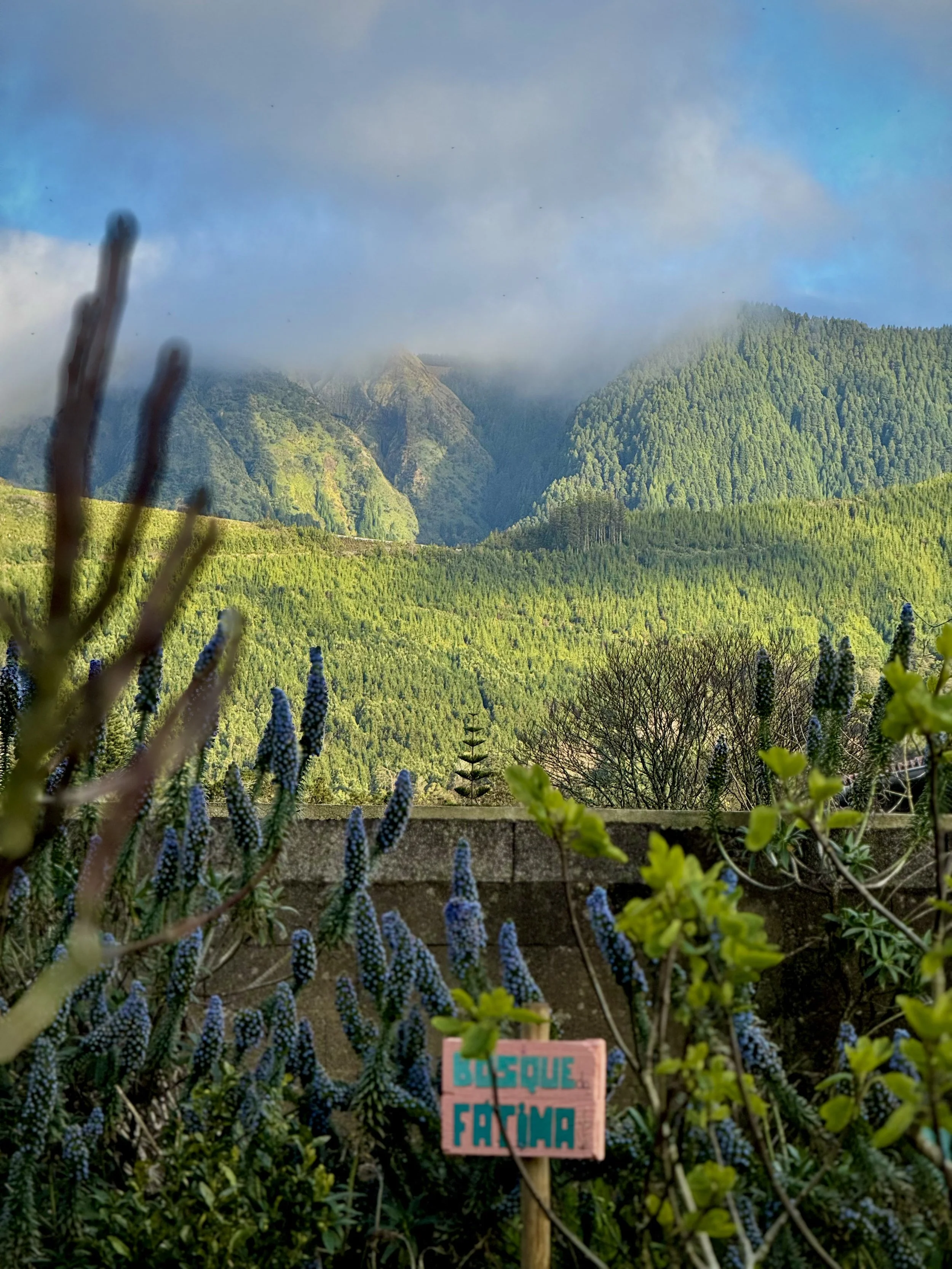 Carioca Breezy, Garden Lounge Café, Sete Cidades, Azores, São Miguel, Portugal