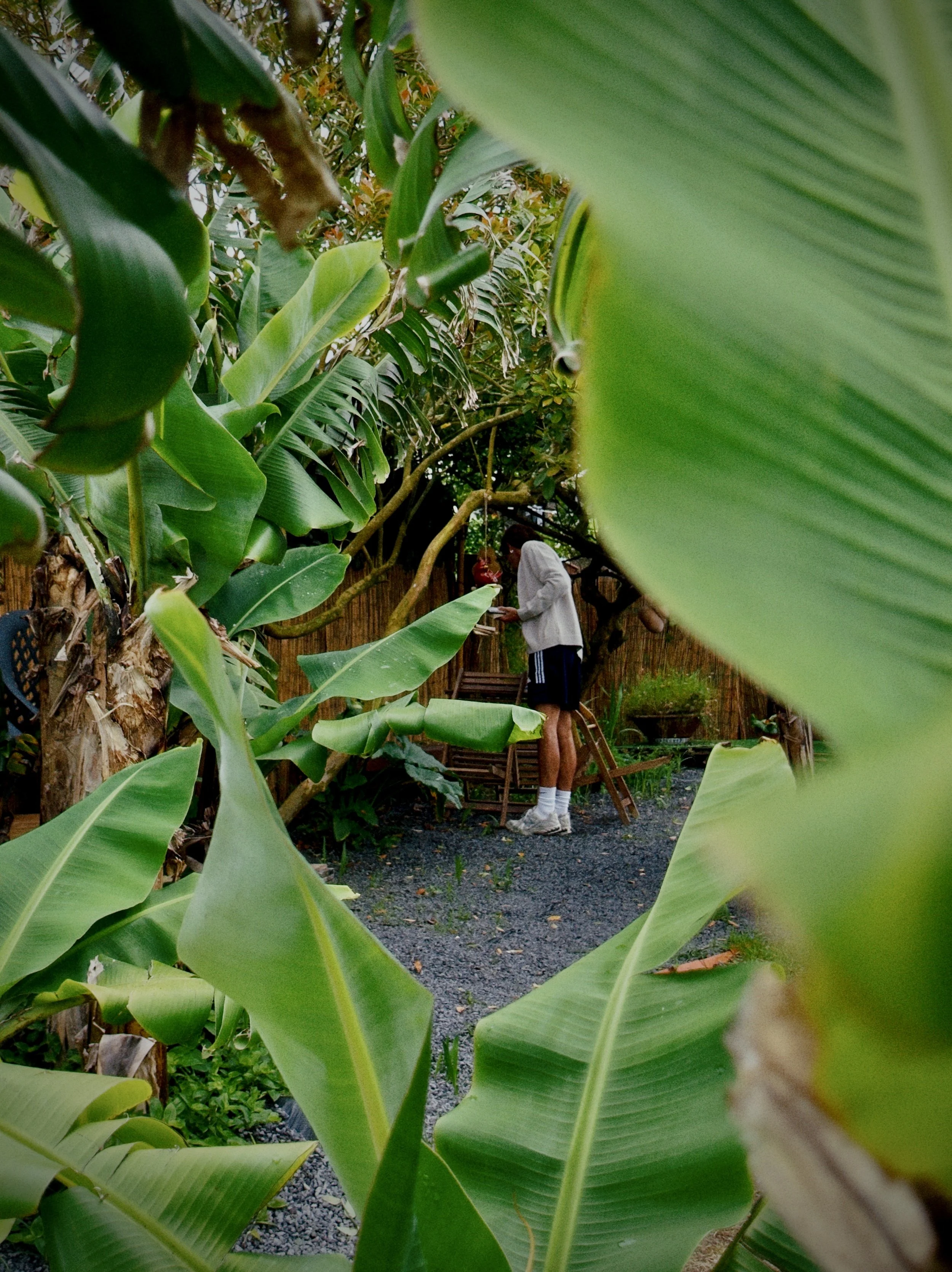 Artist Residency, Sete Cidades, Azores, Portugal. Residência artística, Sete Cidades, Açores, Portugal.