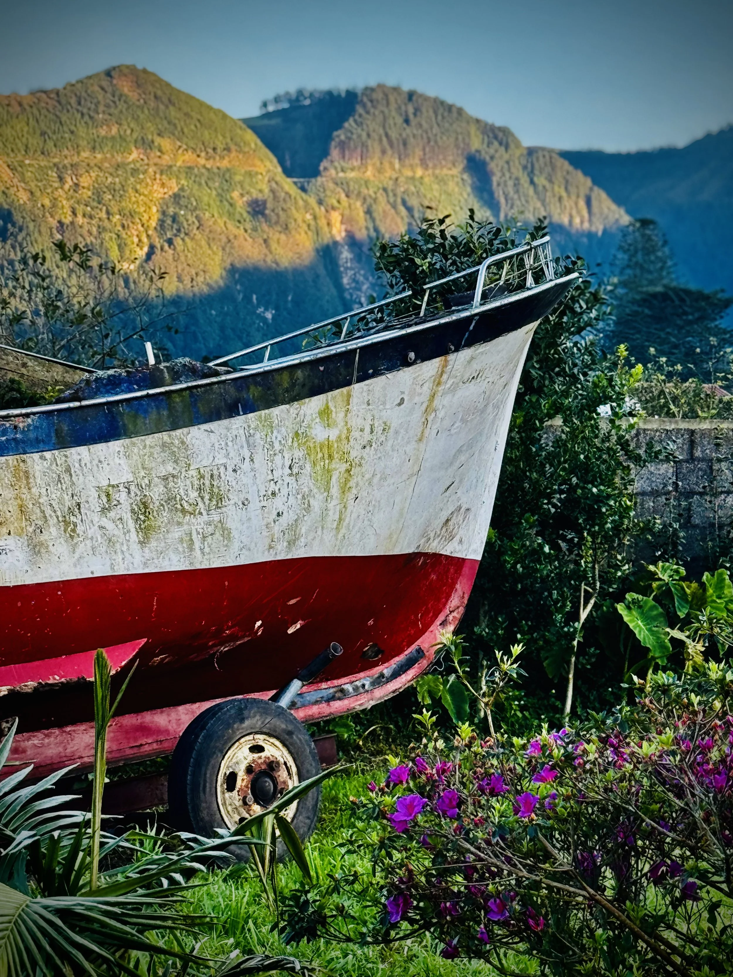 An abandoned boat on grass surrounded by vibrant flowers with mountains in the background.
