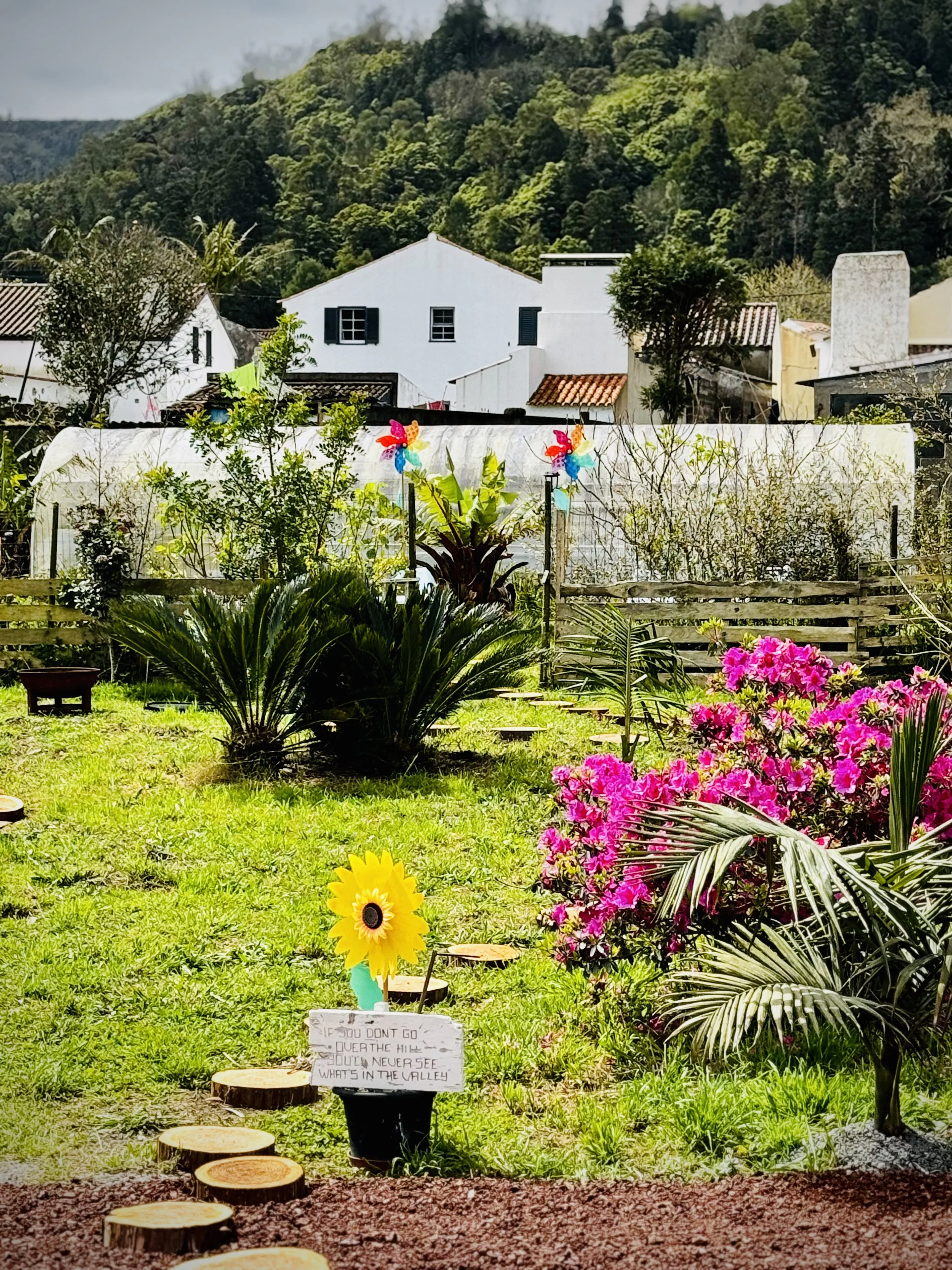 Carioca Breezy, Garden Lounge Café, Sete Cidades, Azores, São Miguel, Portugal