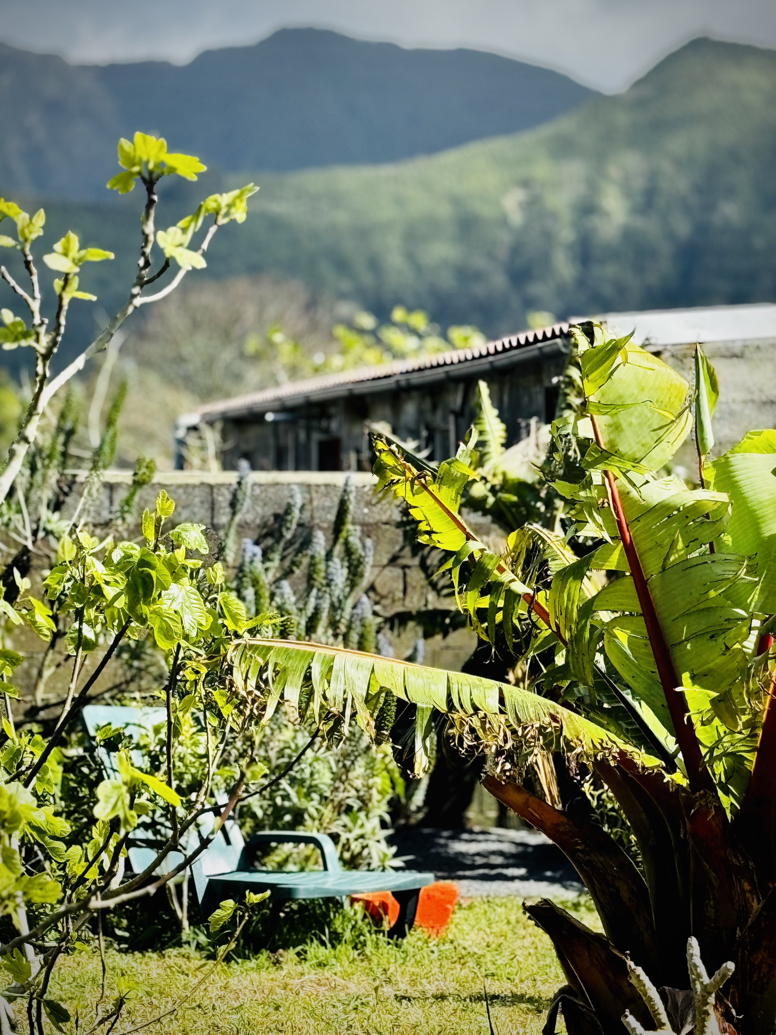 Carioca Breezy, Garden Lounge Café, Sete Cidades, Azores, São Miguel, Portugal