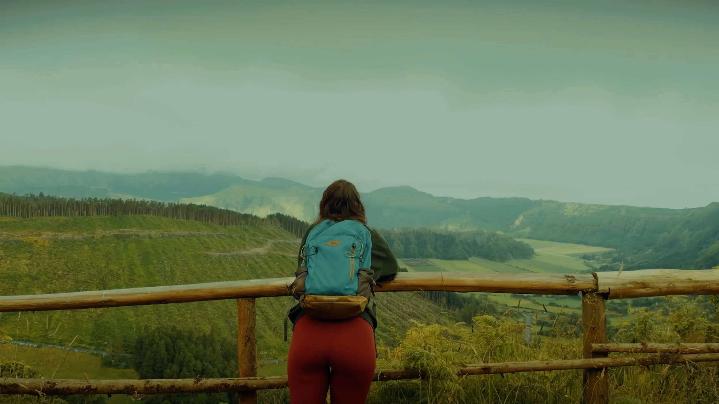 A person with a backpack leaning on a wooden railing, overlooking a valley with green fields and rolling hills under a cloudy sky.