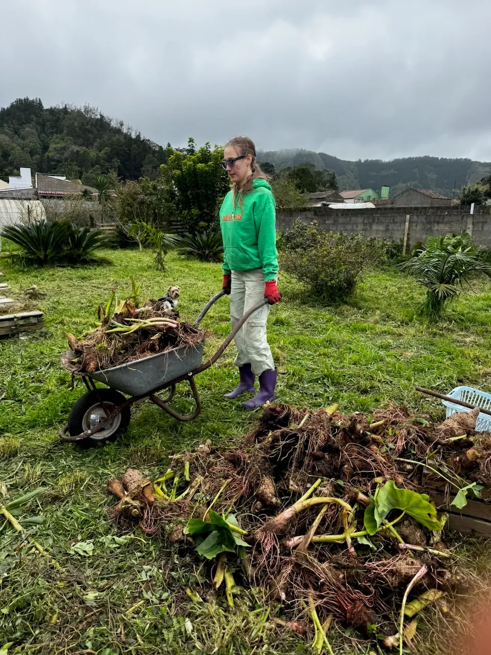 Awaken Azores - Sete Cidades