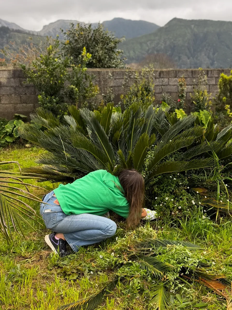 Awaken Azores - Sete Cidades