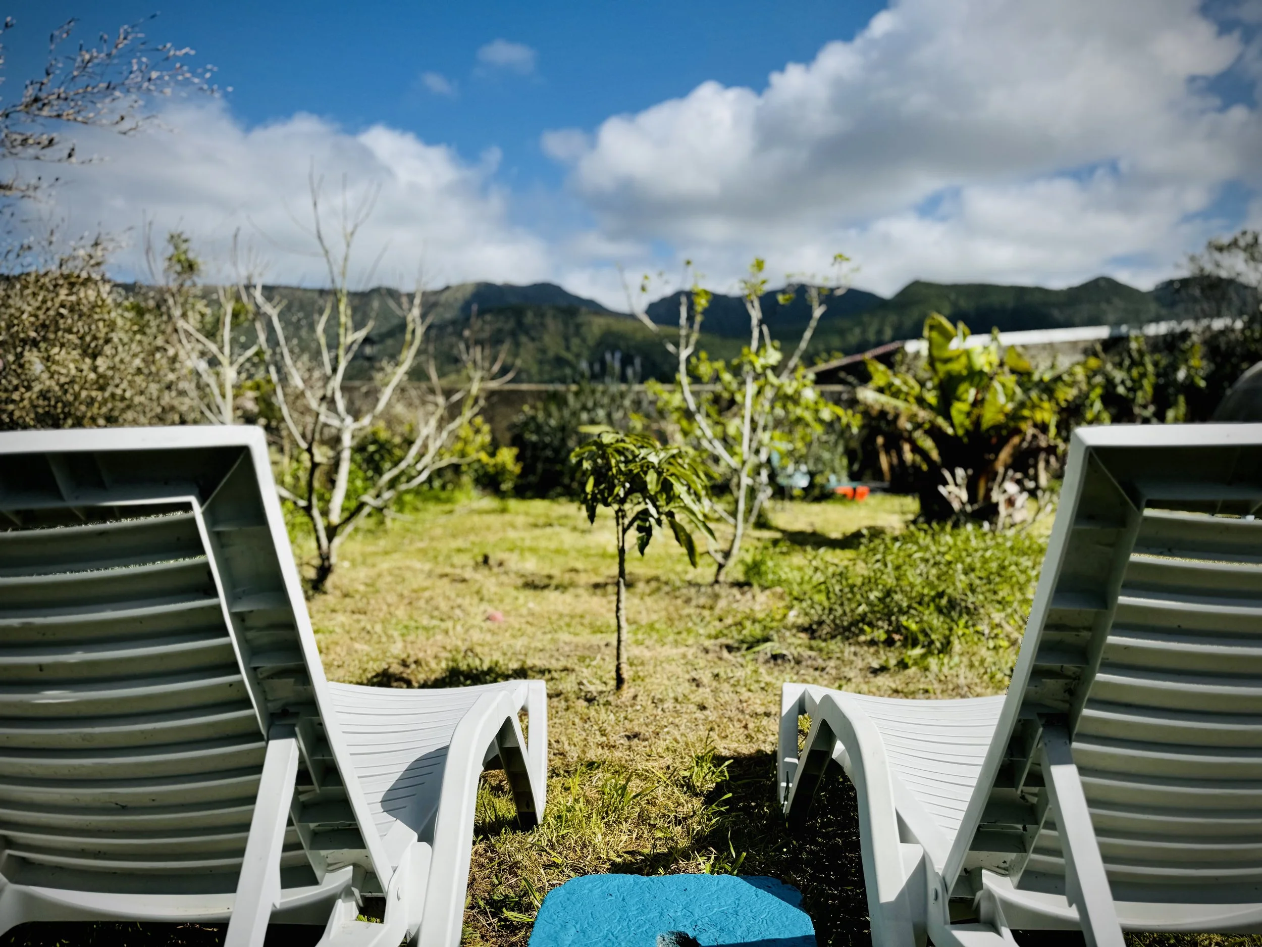 Our beautiful shared garden - Sete Cidades