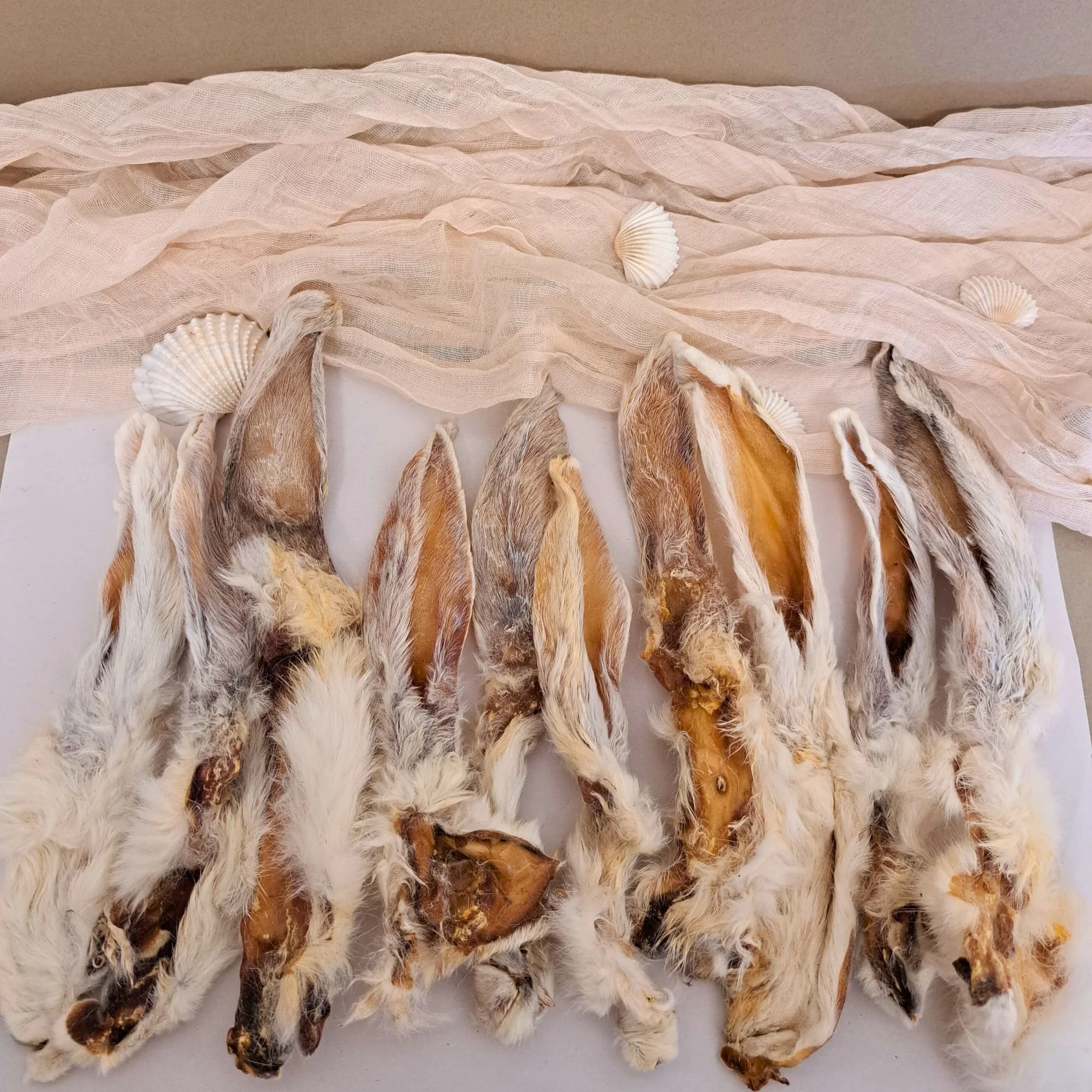 Untitled (2000 x 2000 px) (1).jpg