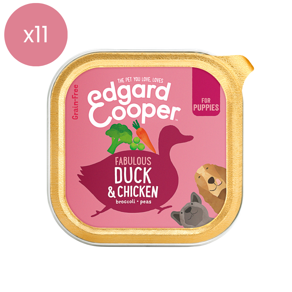 Edgard and Cooper Puppy Duck & Chicken (150g) x11