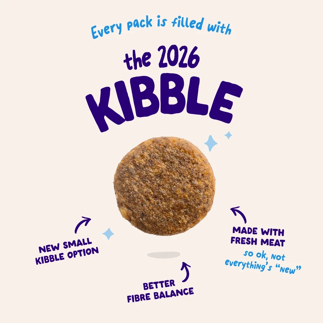 3_Dog-Refresh_DTC-Assets_Adult-Salmon_2026_KIBBLE.webp