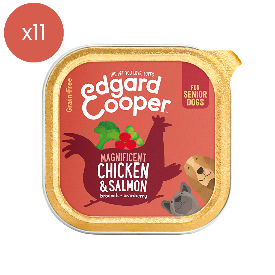 Edgard and Cooper Senior Chicken & Salmon (150g) x11