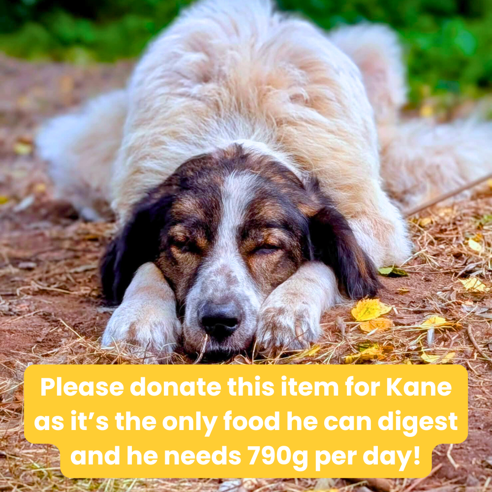 LIB Dog Kane's Food.png (Copy)