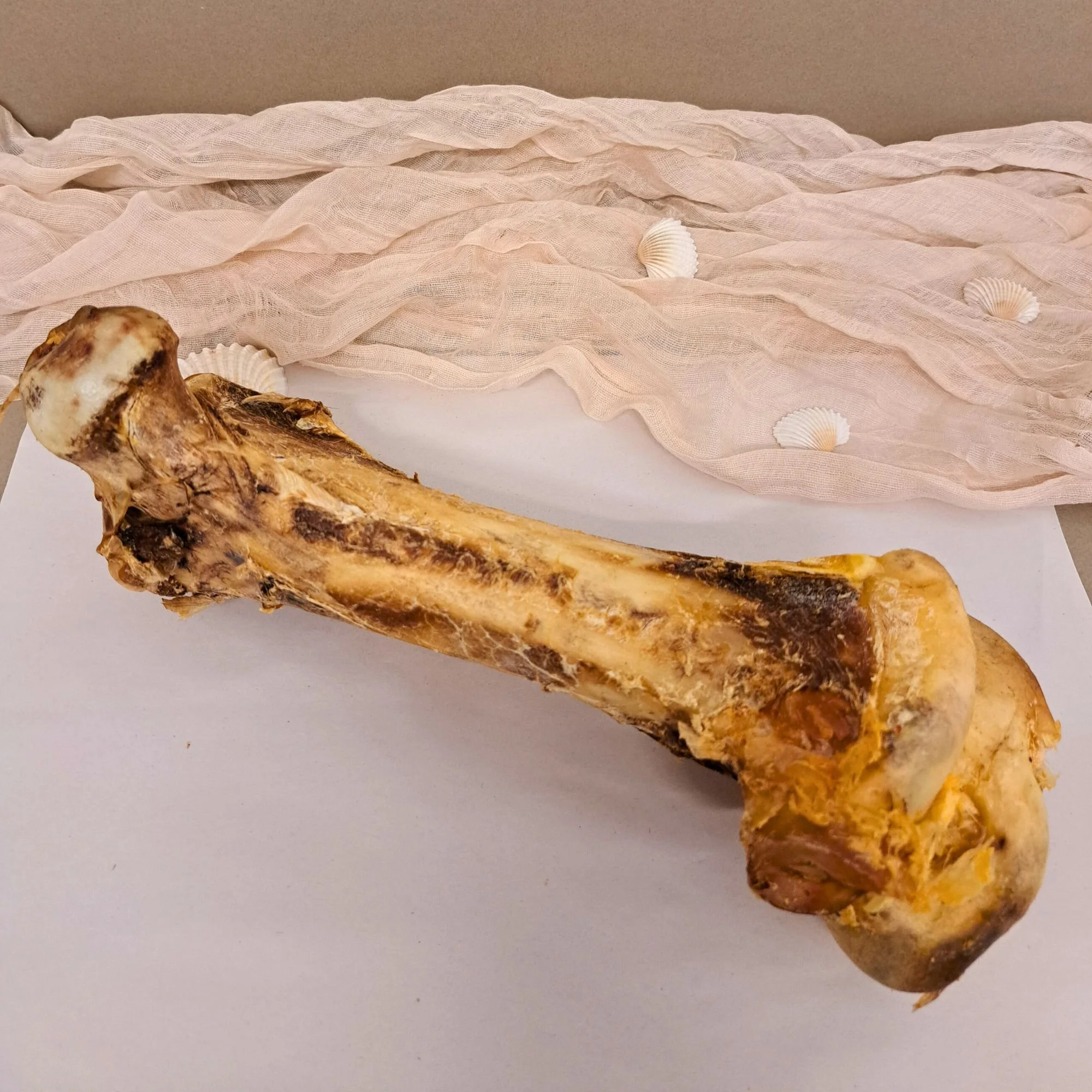 Untitled (2000 x 2000 px) (17).jpg