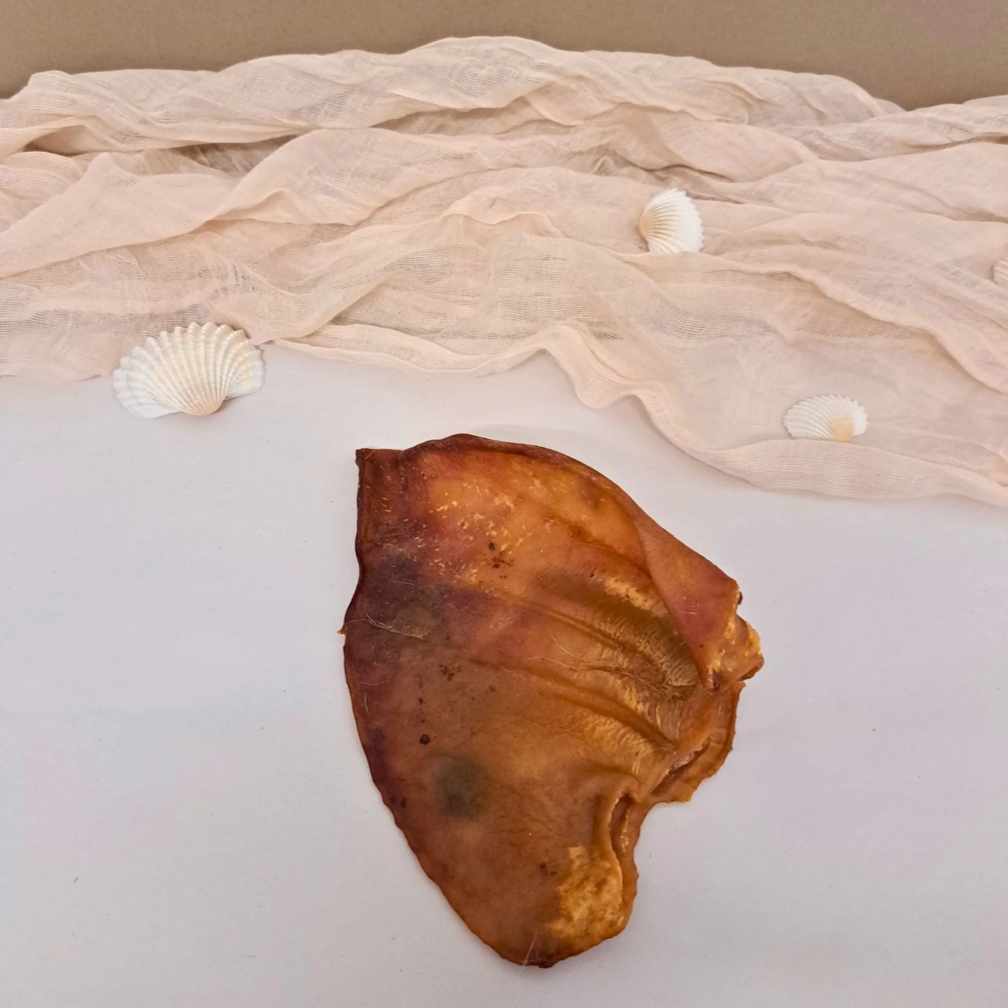 Untitled (2000 x 2000 px) (14).jpg