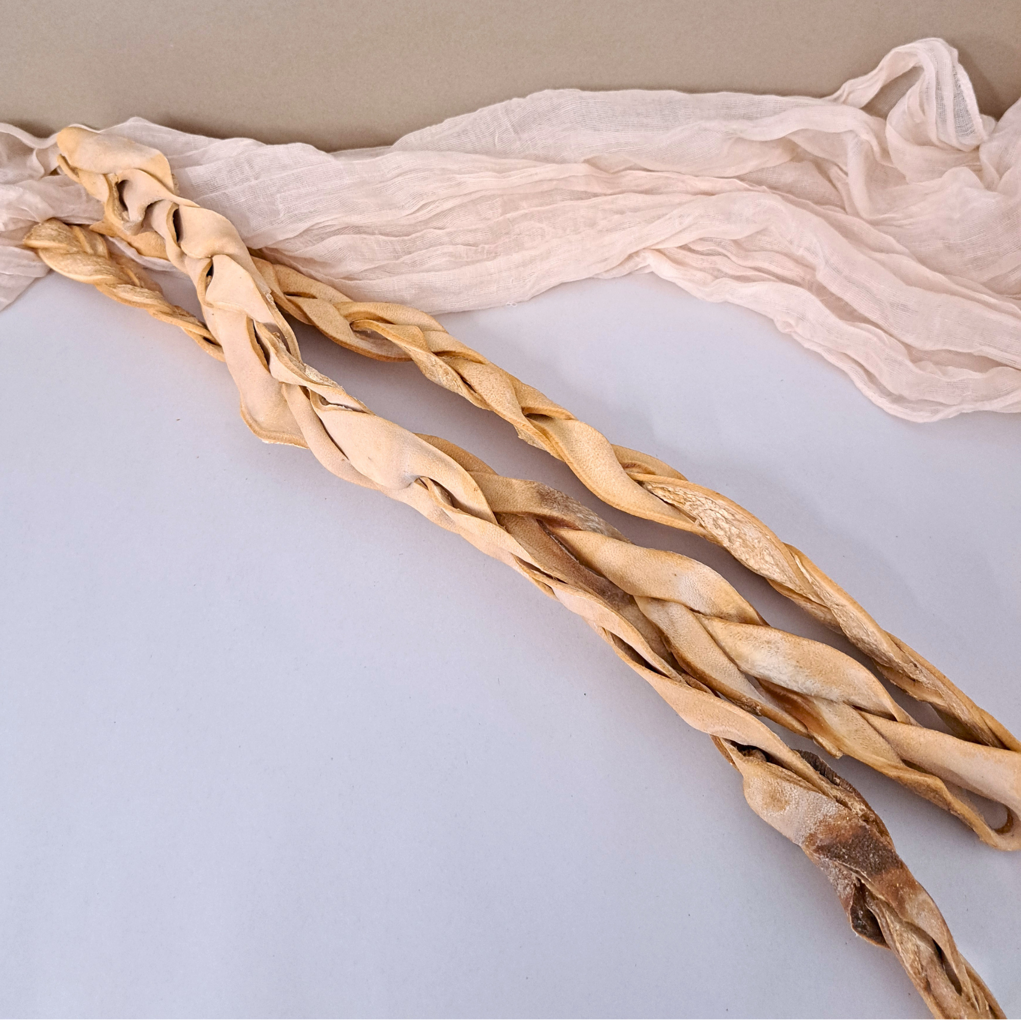 Beef Skin Braided XL