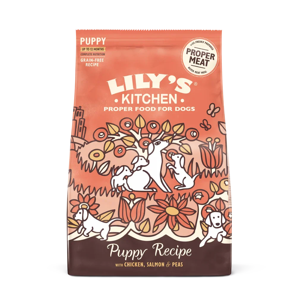 Lilys Kitchen Puppy Chicken & Salmon